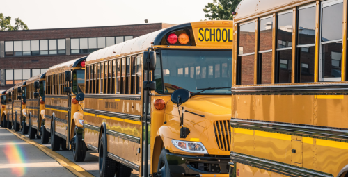 School Buses